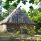 29- Une case traditionnelle sur Nanuya-sewa Island 